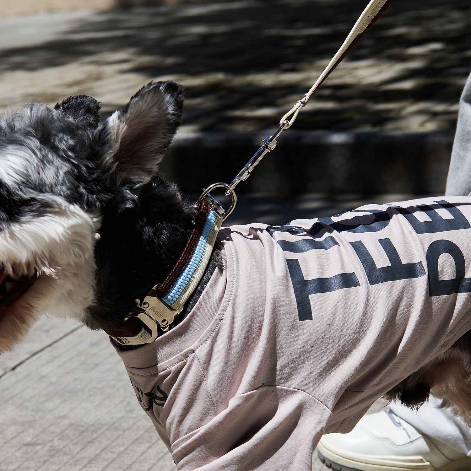 Unzip Color Matching Collar Suit-Neon |犬用 首輪リードセット