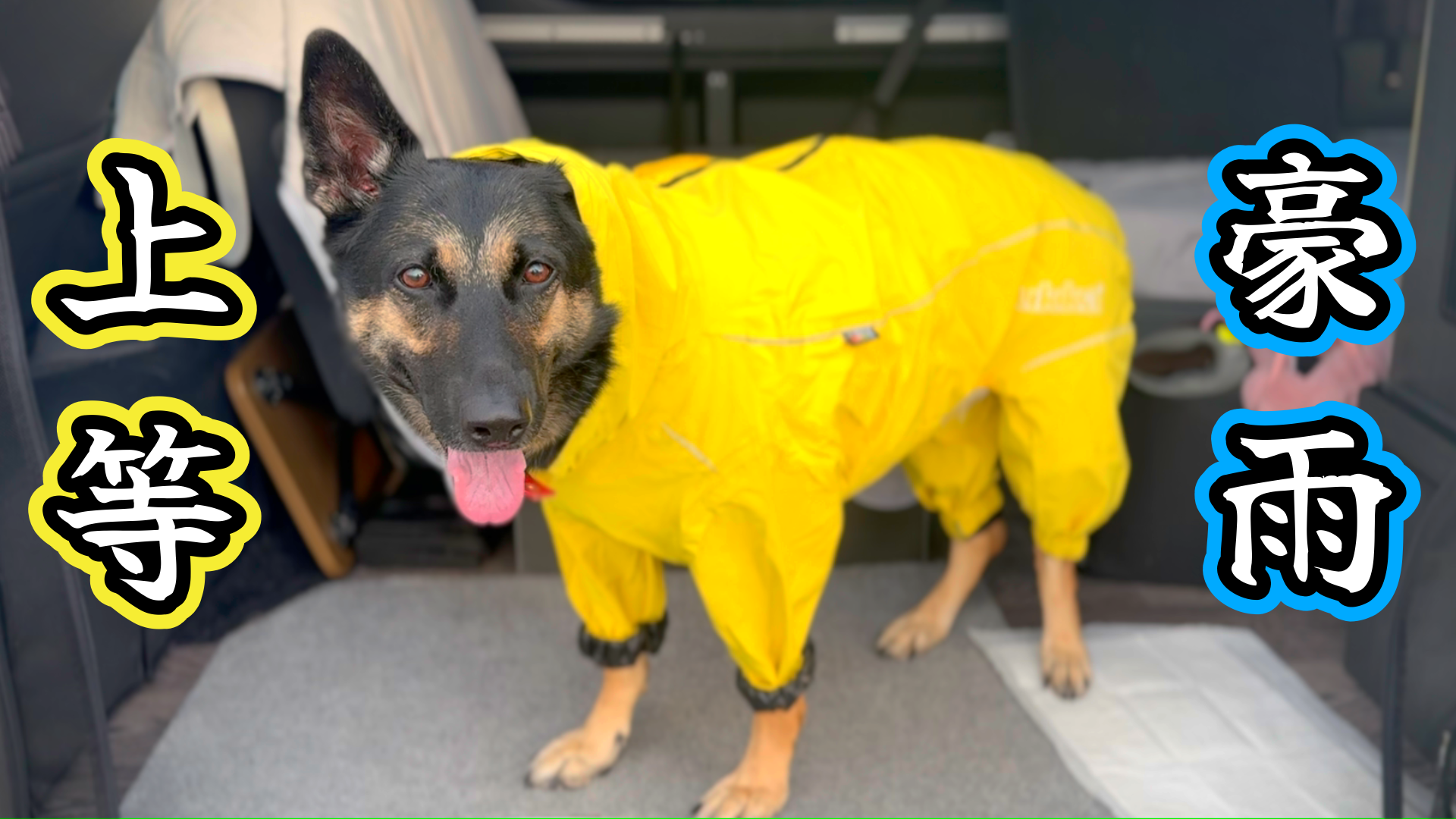 完全防水】rukkaの愛犬用レインコートが想像以上にスゴかった！ | 維桜