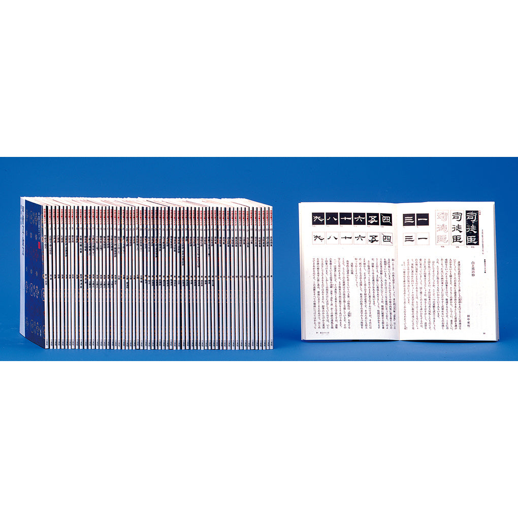 中国法書ガイド 二玄社 39冊 【公式通販】