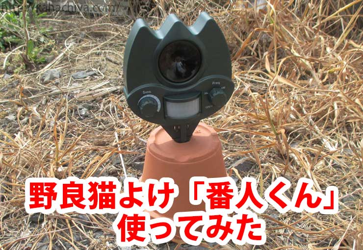 番人くん 野良猫撃退グッズ 1台 猫よけ 猫対策 Amazon | 猫