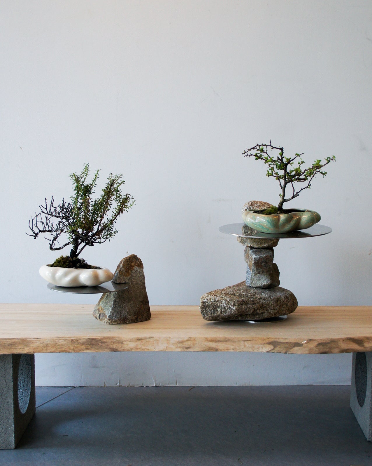 木化石 置物 鑑賞石 台座付 木化石 置物 鑑賞石 台座付 木 化石」の