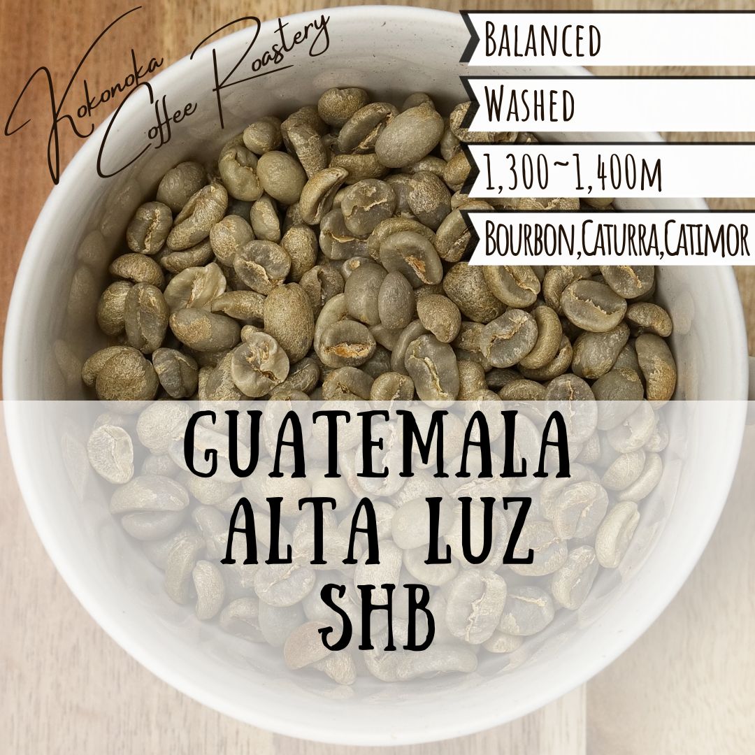 コーヒー生豆】グアテマラ SHB 5kg ※送料無料！ 【公式通販】