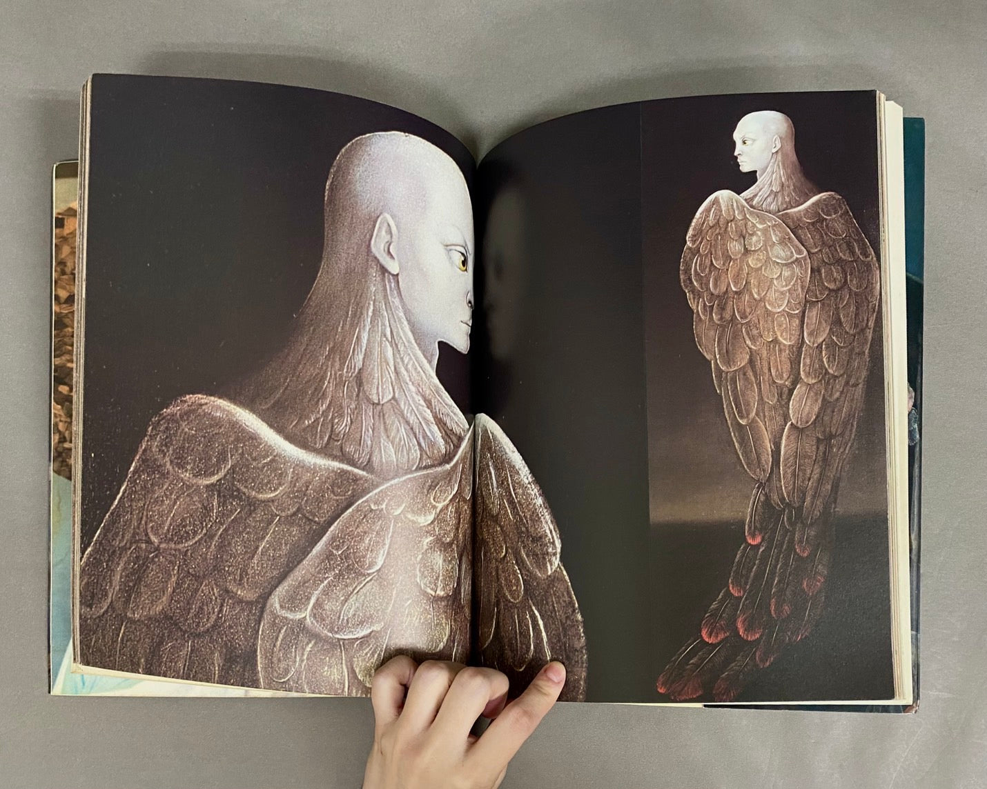 レオノールフィニー 画集 レオノール・フィニ レオノール・フィニ大判