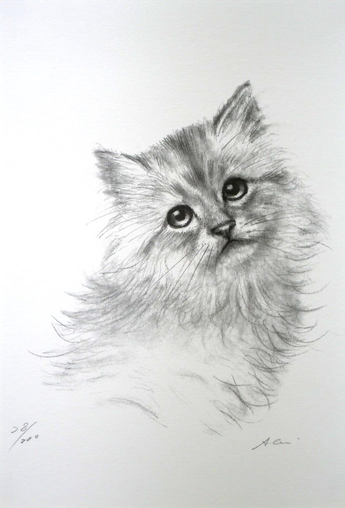 八代亜紀「チビたん」リトグラフ 絵画買取・販売の小竹美術