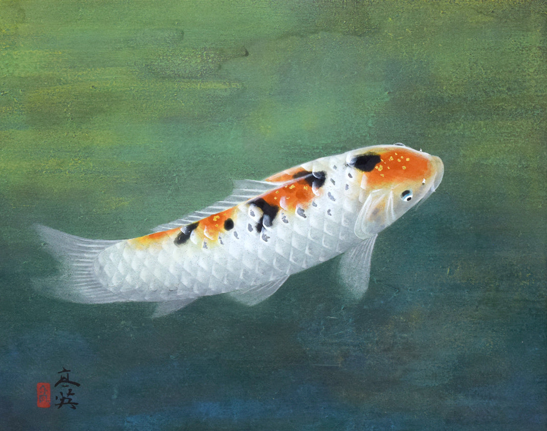 日本画 森島 清泰 鯉 肉筆紙本 日本画 森島 清泰 鯉 肉筆紙本 - メルカリ