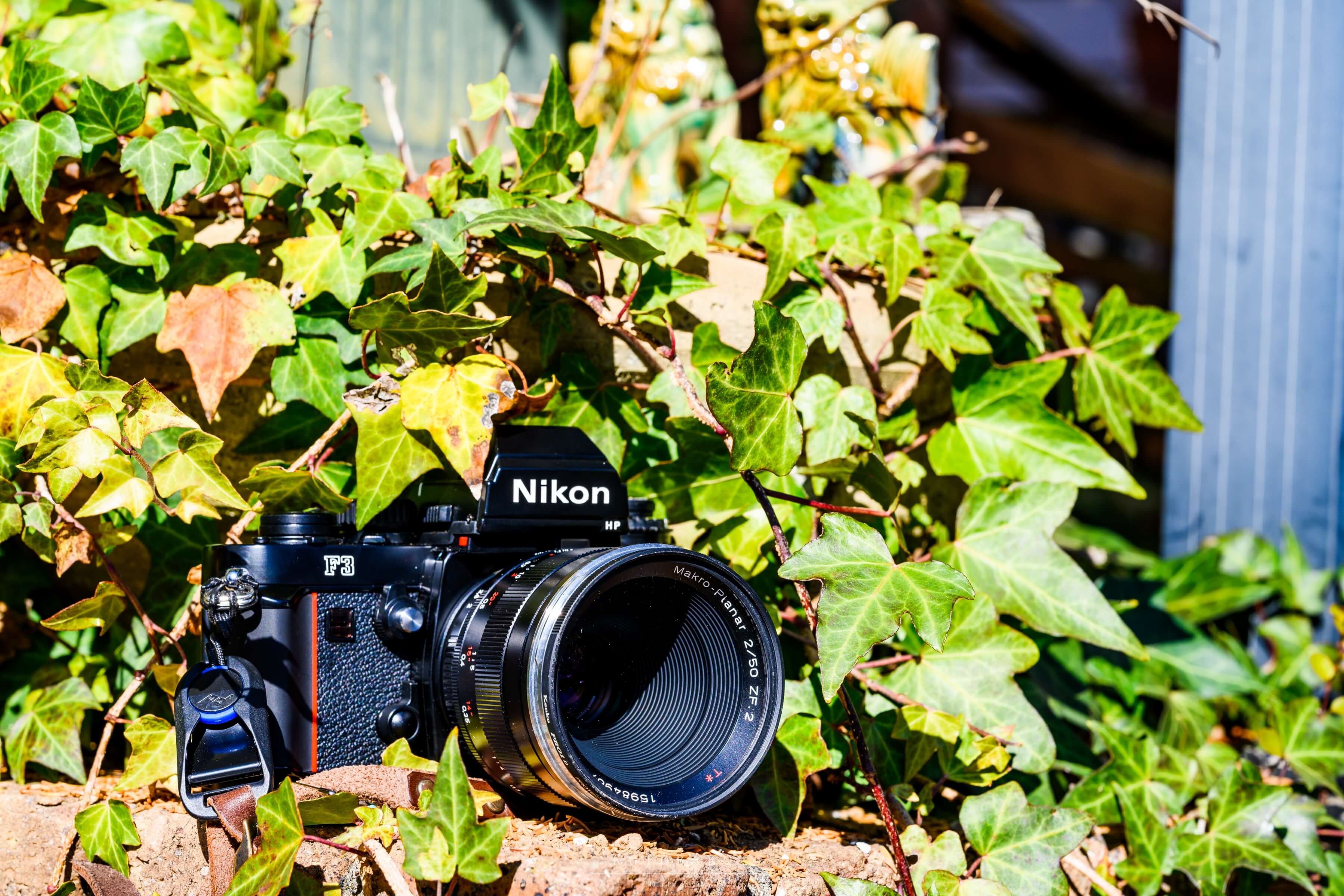 作例写真】Nikon F3 レビュー！フィルム写真が楽しくなるFマウント