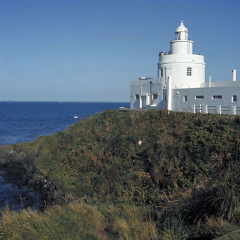 ノサップ岬 油絵 P8（455×333mm） 納沙布 岬 ノサップ岬 油絵 P8（455