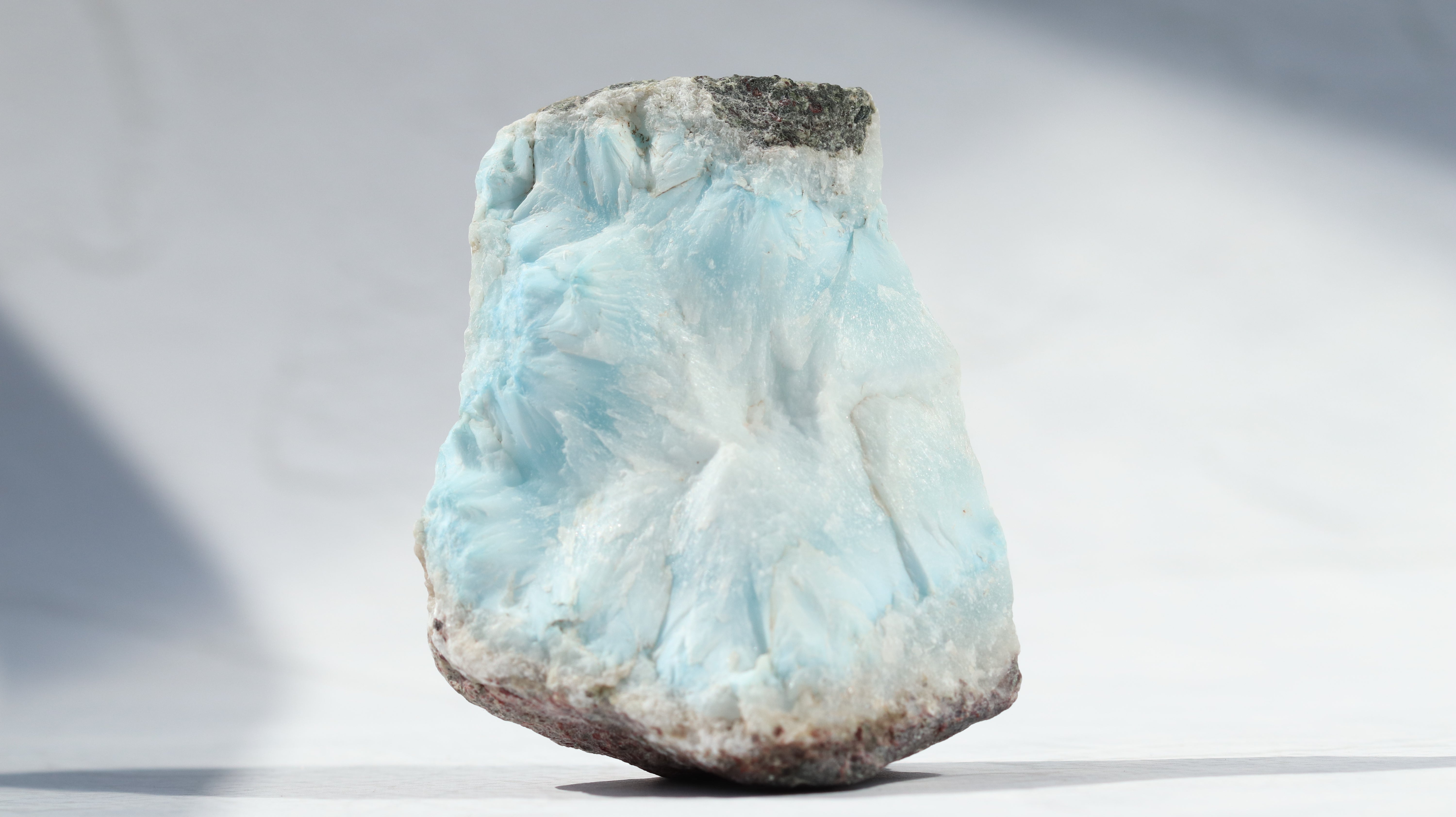 IMG_7803.jpg?crop=center&