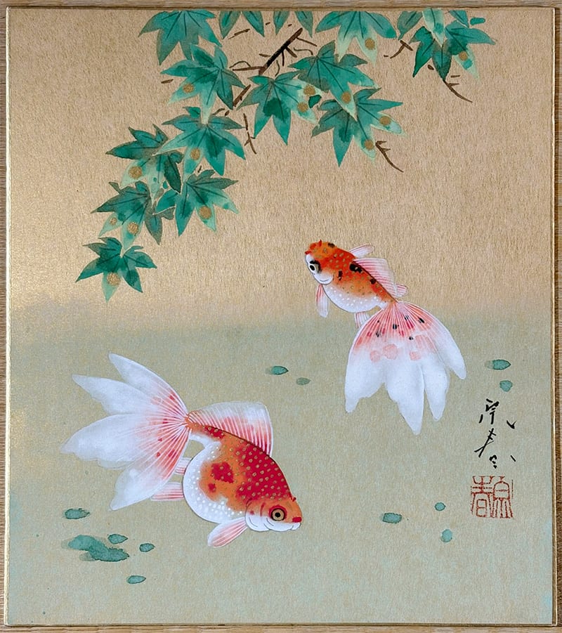 絵画 金魚 金魚｜新・古美術 高美堂（こうびどう）｜掛軸販売・通販