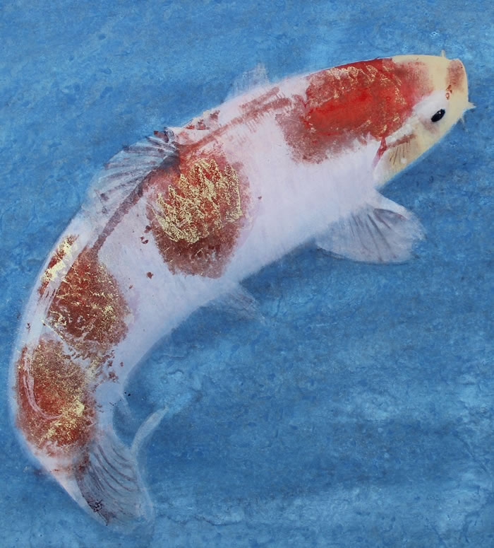 鯉｜新・古美術 高美堂（こうびどう）｜掛軸販売・通販・買取｜骨董