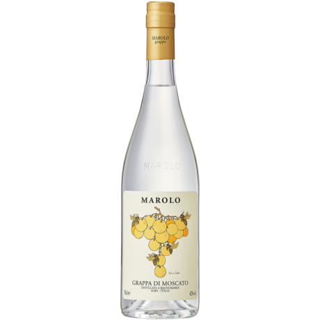 グラッパ・ディ・モスカート イタリア - ワインリンク