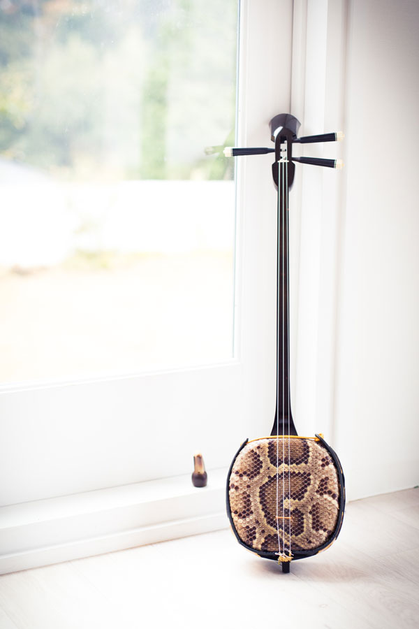 沖縄三線 へび皮 沖縄民謡 民謡楽器 三線 和楽器 沖縄 三線 蛇皮 沖縄