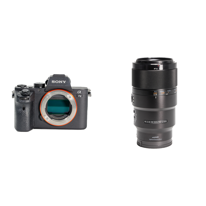 SONY SEL90M28G マクロレンズ Amazon.com : Sony SEL90M28G FE 90mm f