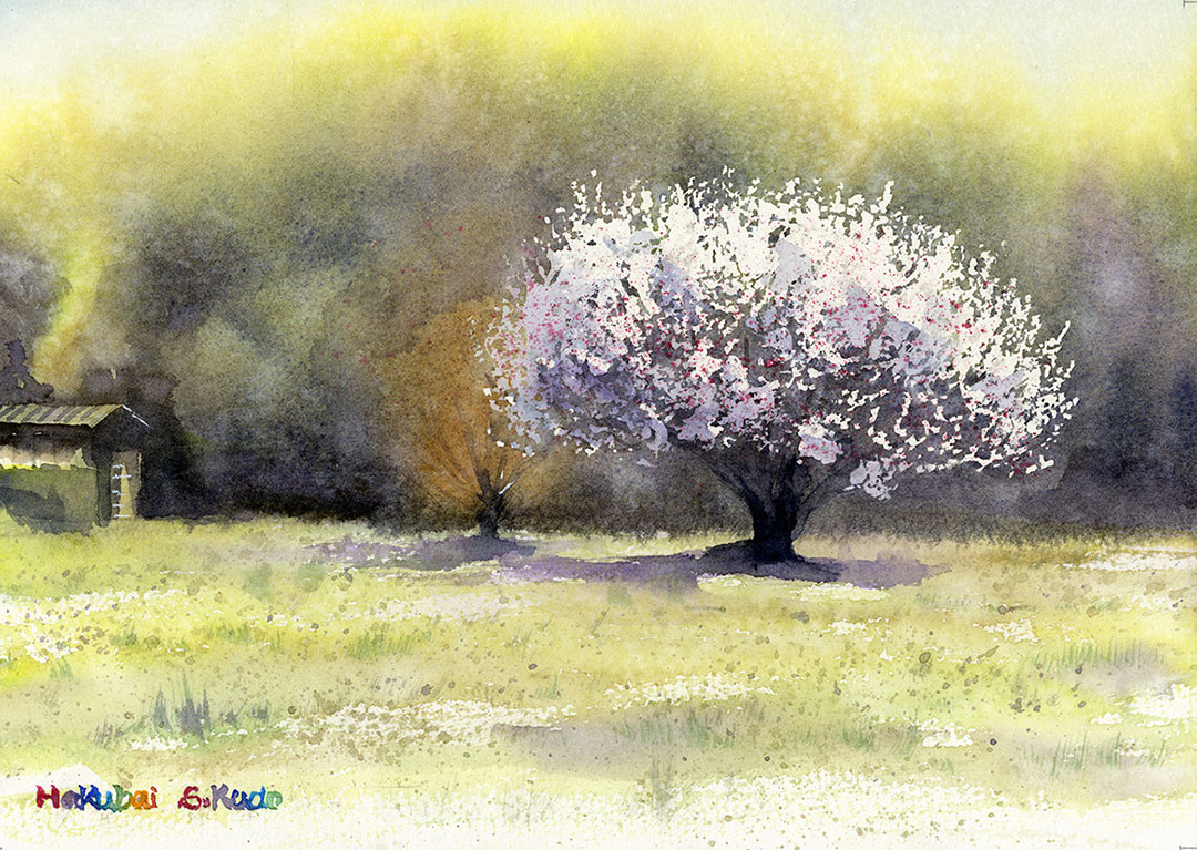 掛け軸 南谷大晃 山邦風景 絹本 希少 軸装 茶道具 掛軸 美品 です