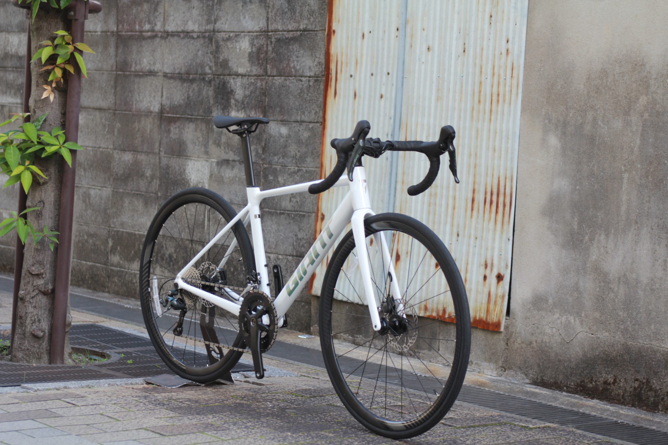 GIANT 「ジャイアント」 GJ-35 LTD 2025年 Sサイズ