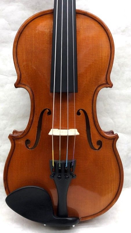 Gems 1/4サイズ 弓・三角型セミハードケース付 | 【クロサワ楽器店