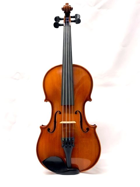 Reghin 1/2サイズ (レジン) | 【クロサワ楽器店オンラインショップ