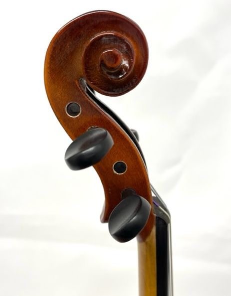 Reghin 1/2サイズ (レジン) | 【クロサワ楽器店オンラインショップ