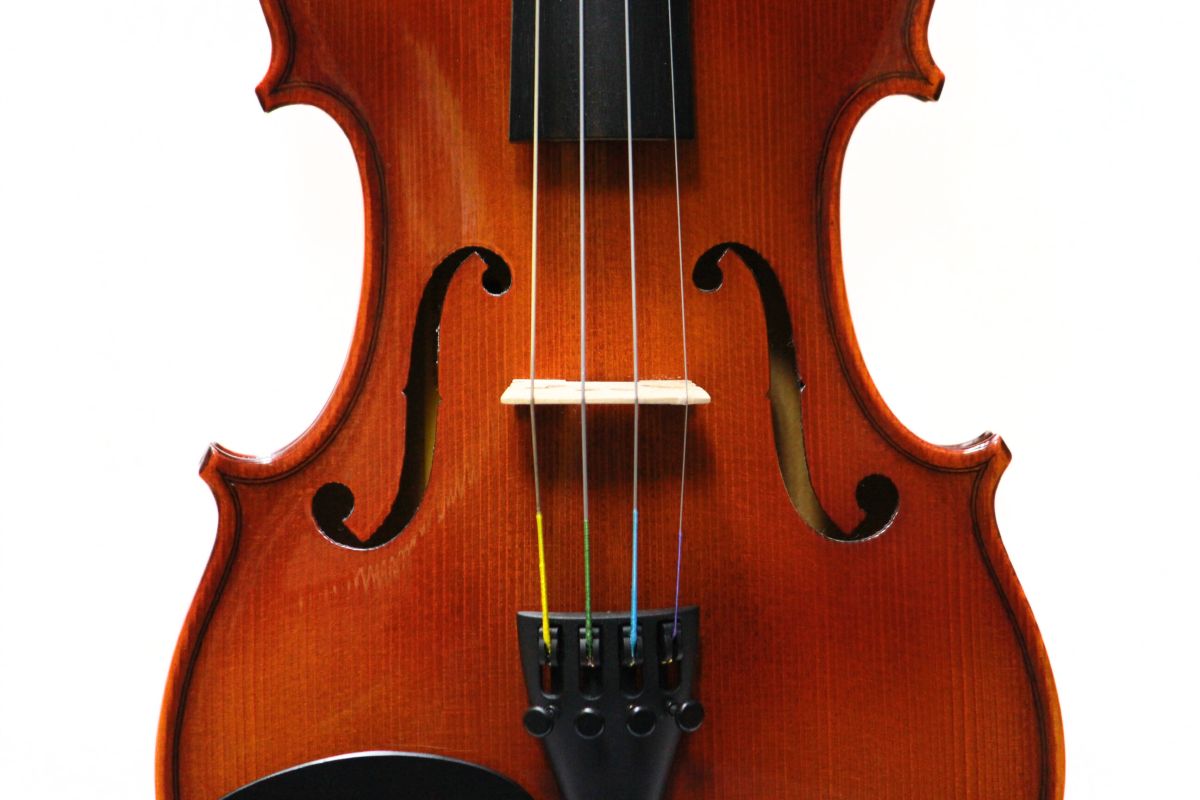 Reghin 1/2サイズ | 【クロサワ楽器店オンラインショップ】いい楽器と