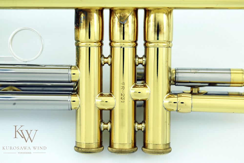 TR-231 s/n 805***【中古】 | 【クロサワ楽器店オンラインショップ