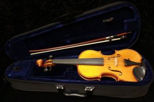 Gliga Gems 1/4サイズ | 【クロサワ楽器店オンラインショップ】いい