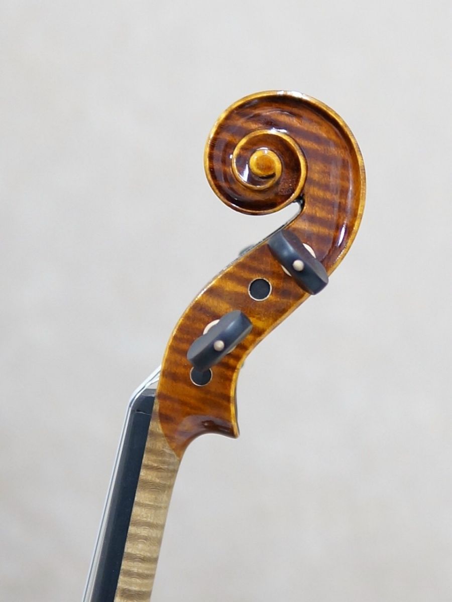 Gliga Gliga I | 【クロサワ楽器店オンラインショップ】いい楽器との