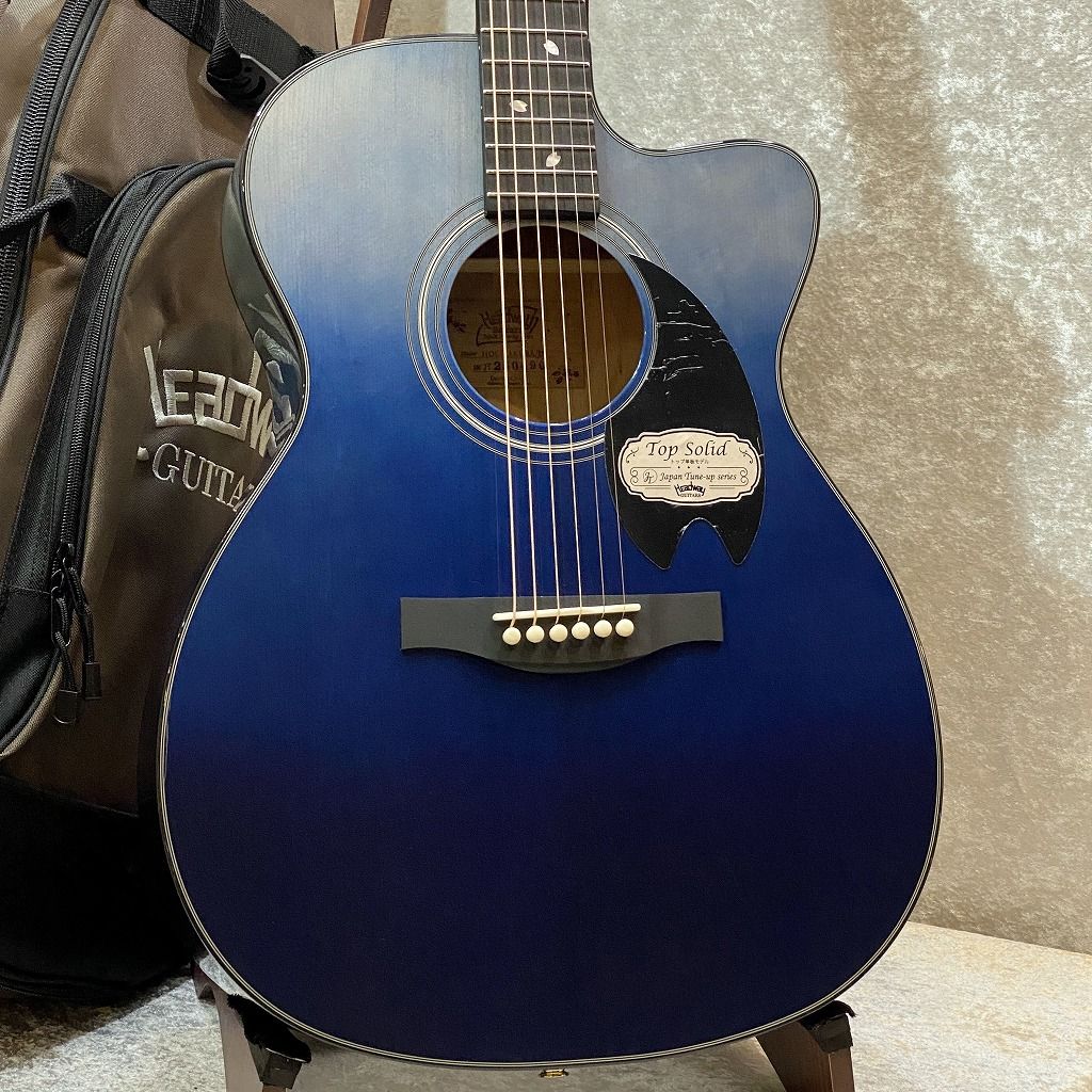 テレビジョッキー アコースティックギター