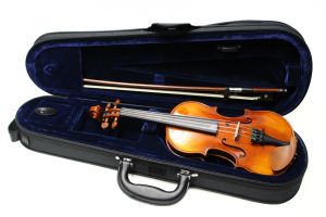 バイオリン、 年式相応の標準的状態の弦楽器検索結果一覧 | 【クロサワ