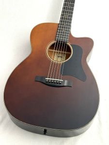 Headway、ハードケースのアコースティックギター検索結果一覧