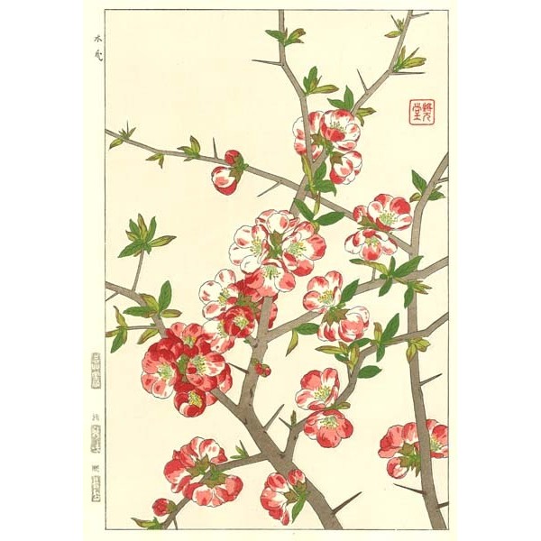 F25 木瓜 花版画 Flower Woodcut ‐Japanese quince‐ | 芸艸堂 版元