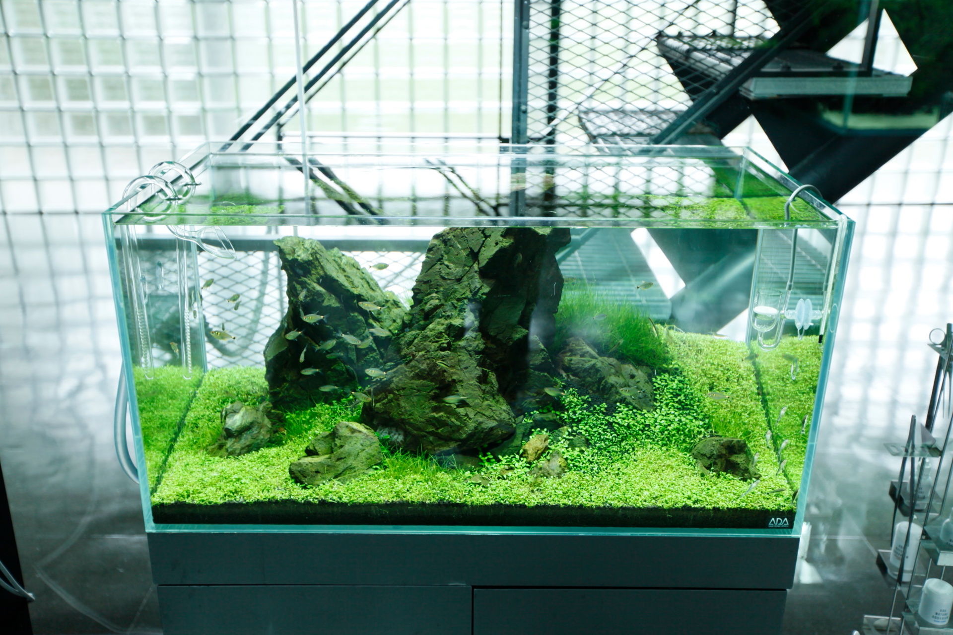 ADA キューブガーデン 90 良品