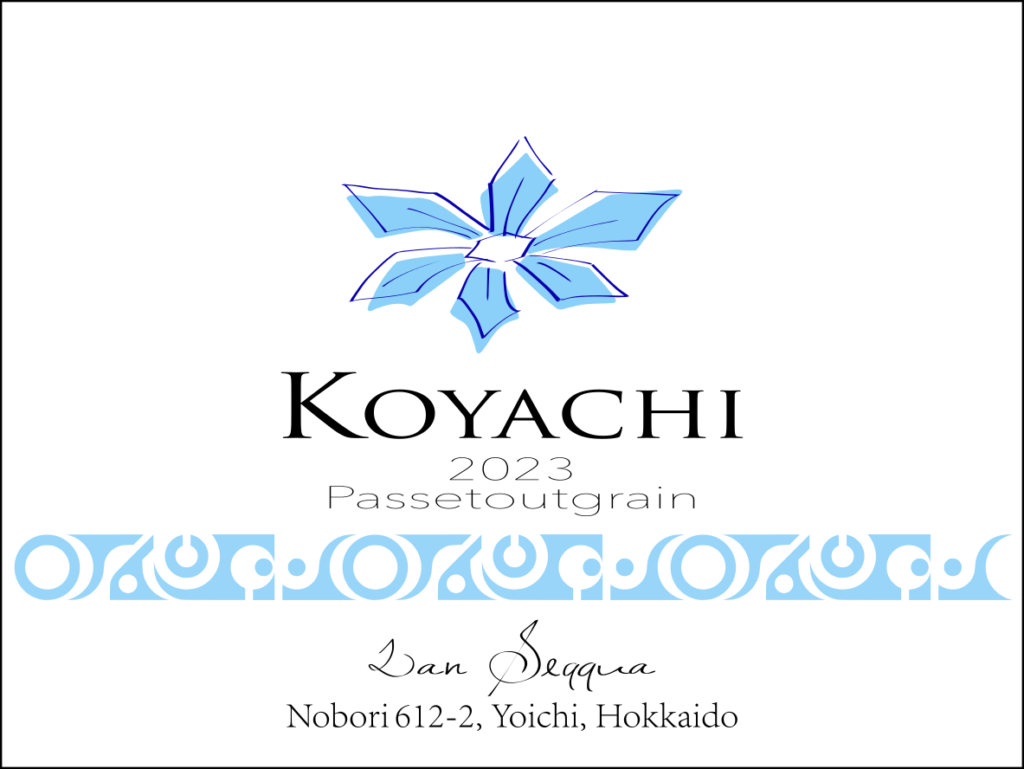 Wine @ 2023 | Lan Seqqua