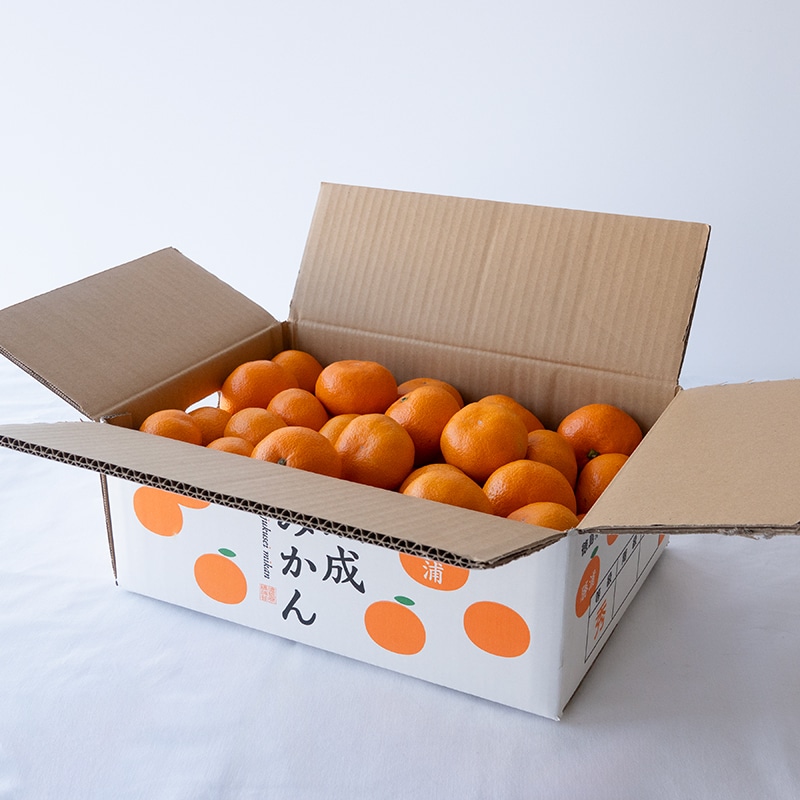 阿波かつうら熟成みかん5kg | Lacycle mall（ラシクルモール）