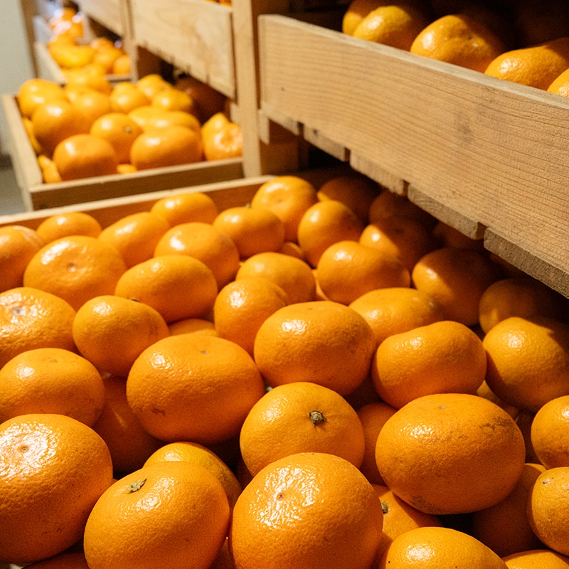 阿波かつうら熟成みかん5kg | Lacycle mall（ラシクルモール）