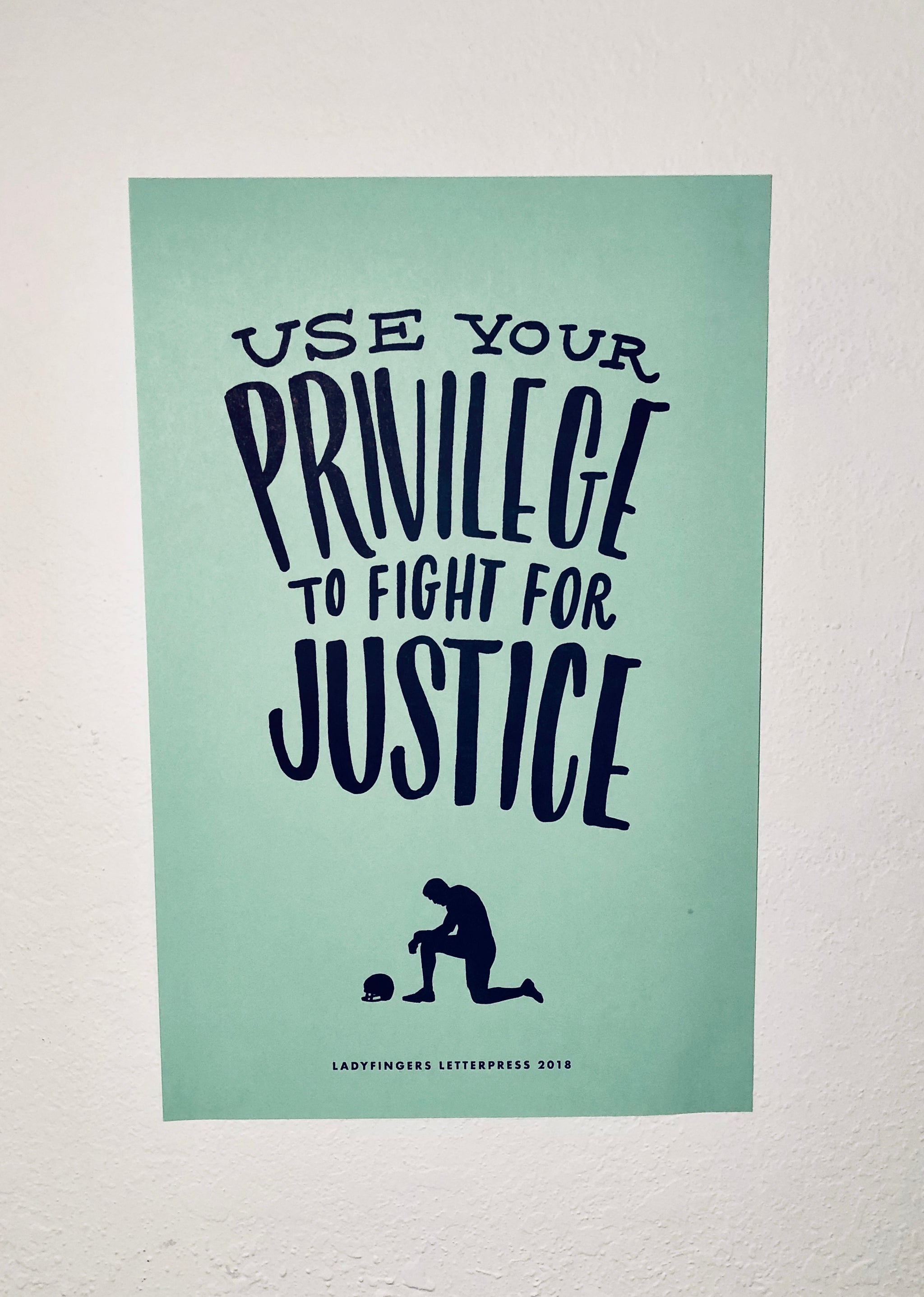 Use Your Privilege To Fight For Justice Poster (Set of 15