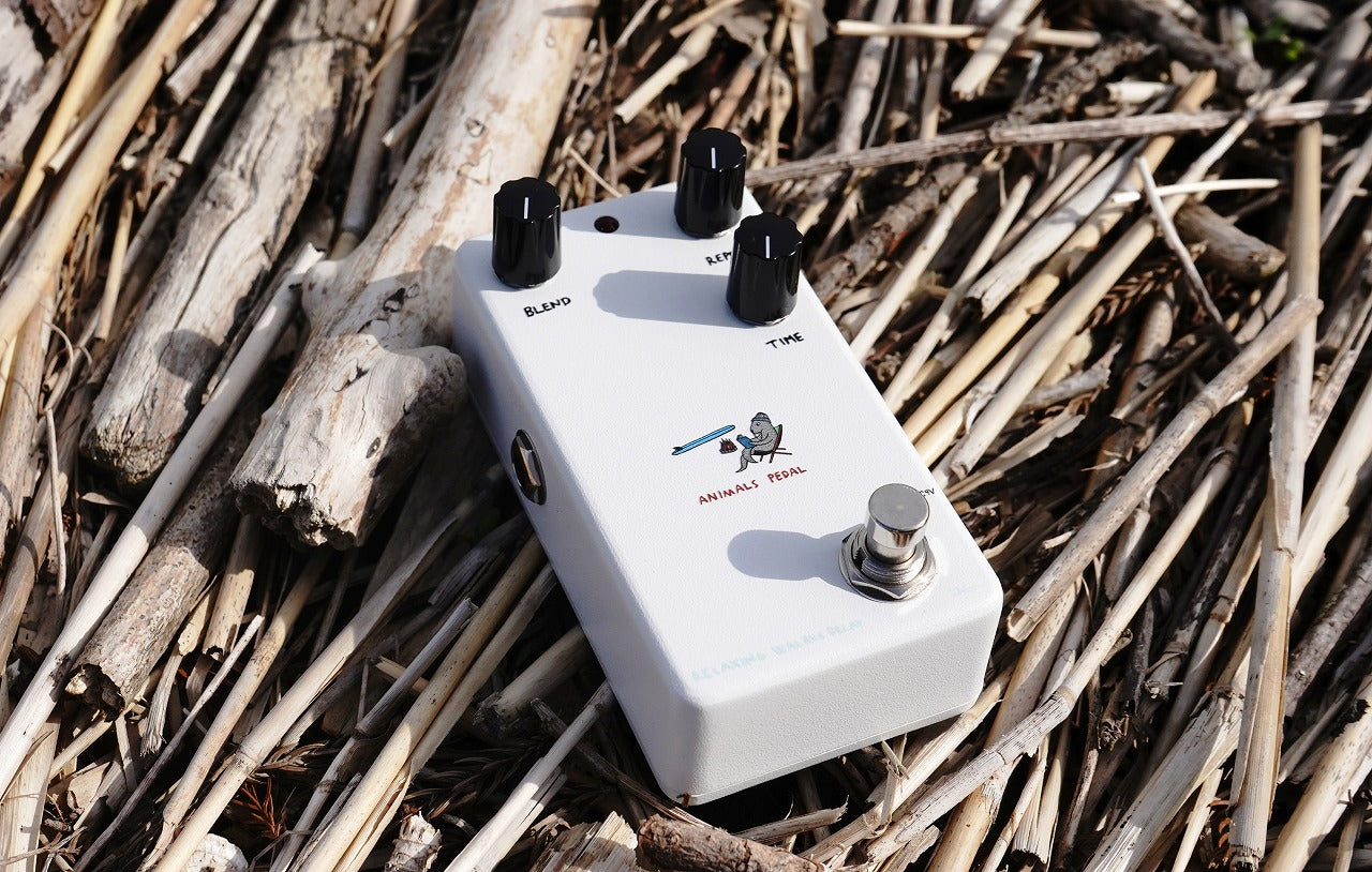Animals Pedal - RELAXING WALRUS DELAY – LEP INTERNATIONAL