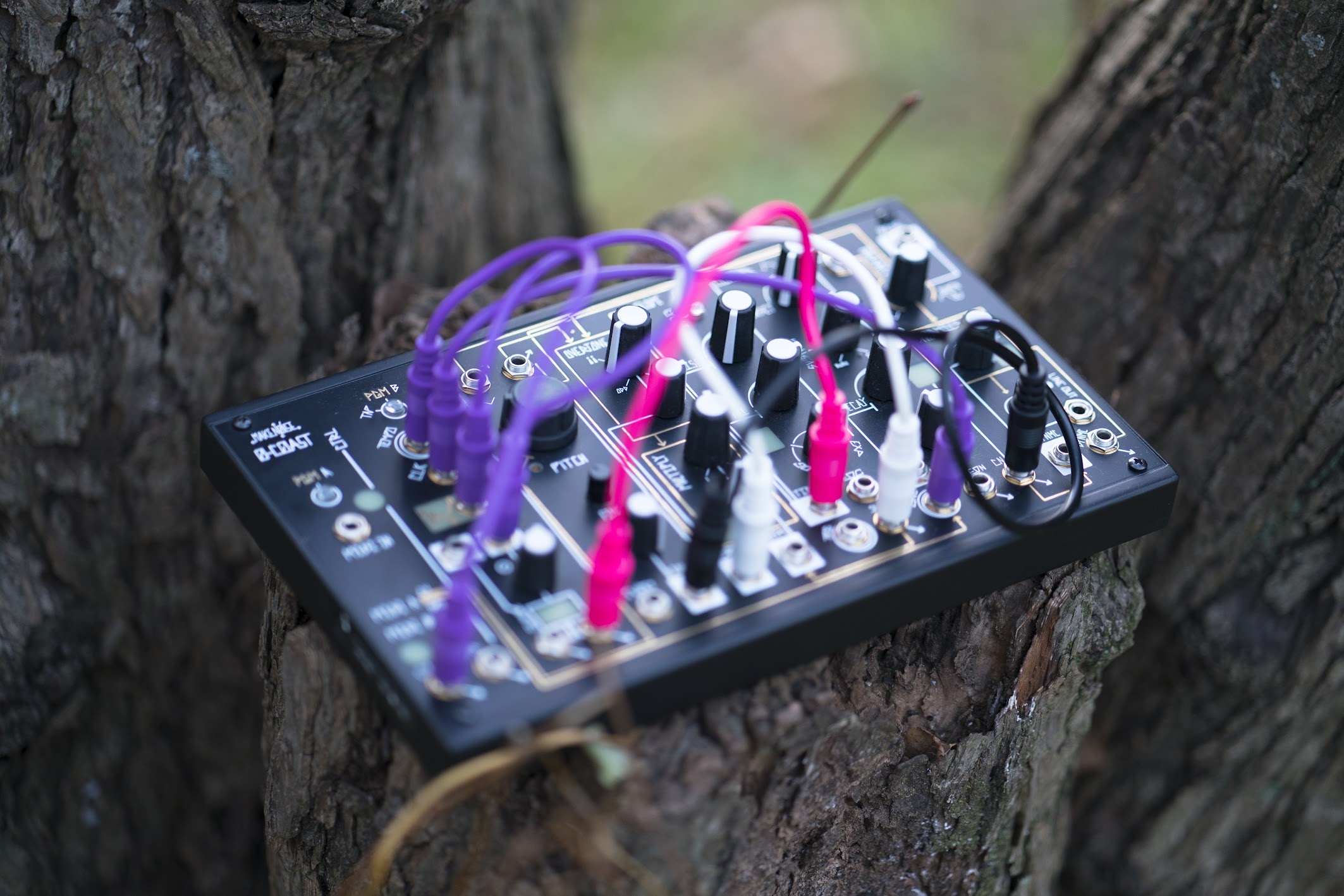 Make Noise 0-Coast モジュラーシンセサイザー Amazon.co.jp: Make