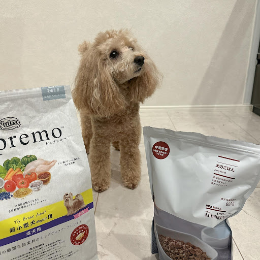 Nutro Supremo 小型犬用 ドライフード 19kg ニュートロ シュプレモ 超