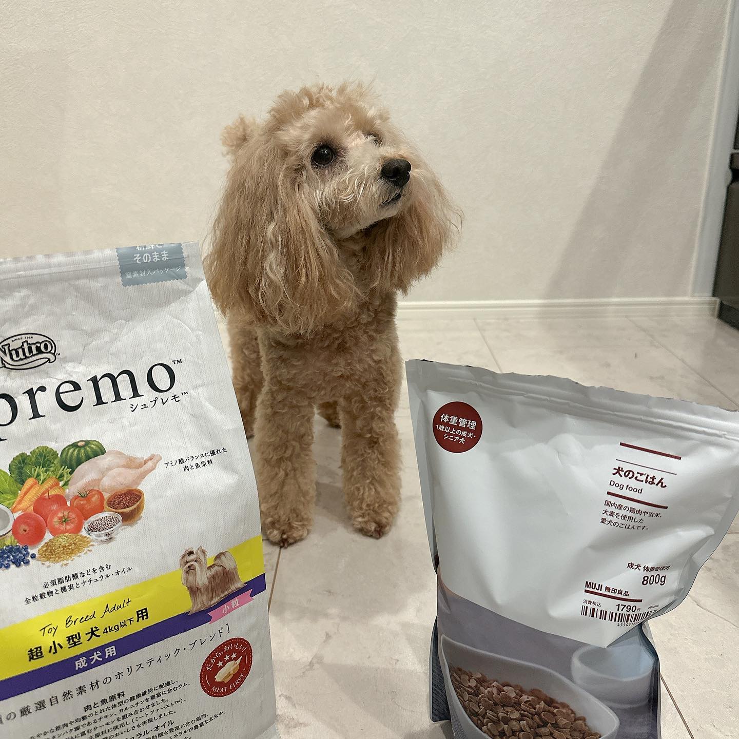 Supremo 子犬用ドライフード 6kg ニュートロ シュプレモ 子犬用 小粒