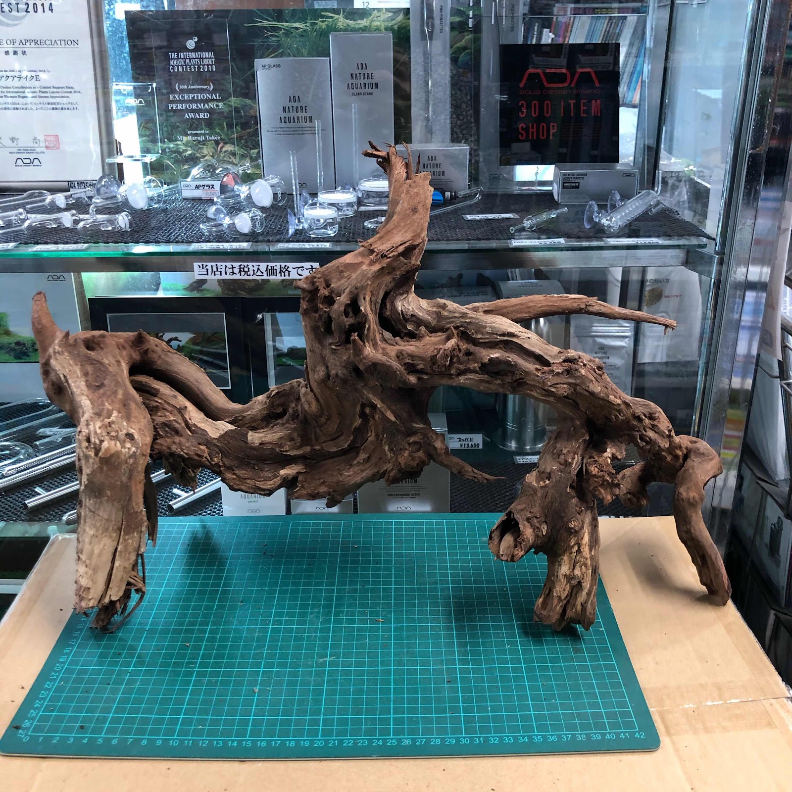 アクアテイク‐E ブログ: 特選！ ADAホーンウッドのXLサイズが入荷しま