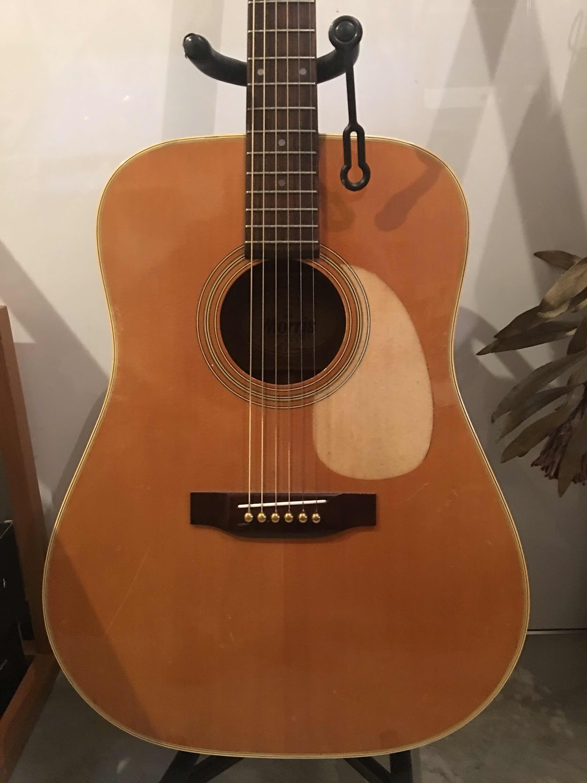 masaonion Official Blog Website : モーリスのアコギ ペグ交換