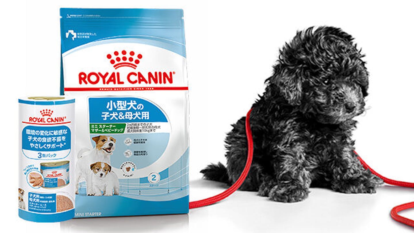 CANIN 中型犬 成犬用 ミディアム アダルト16kg Amazon.co.jp: ロイヤル