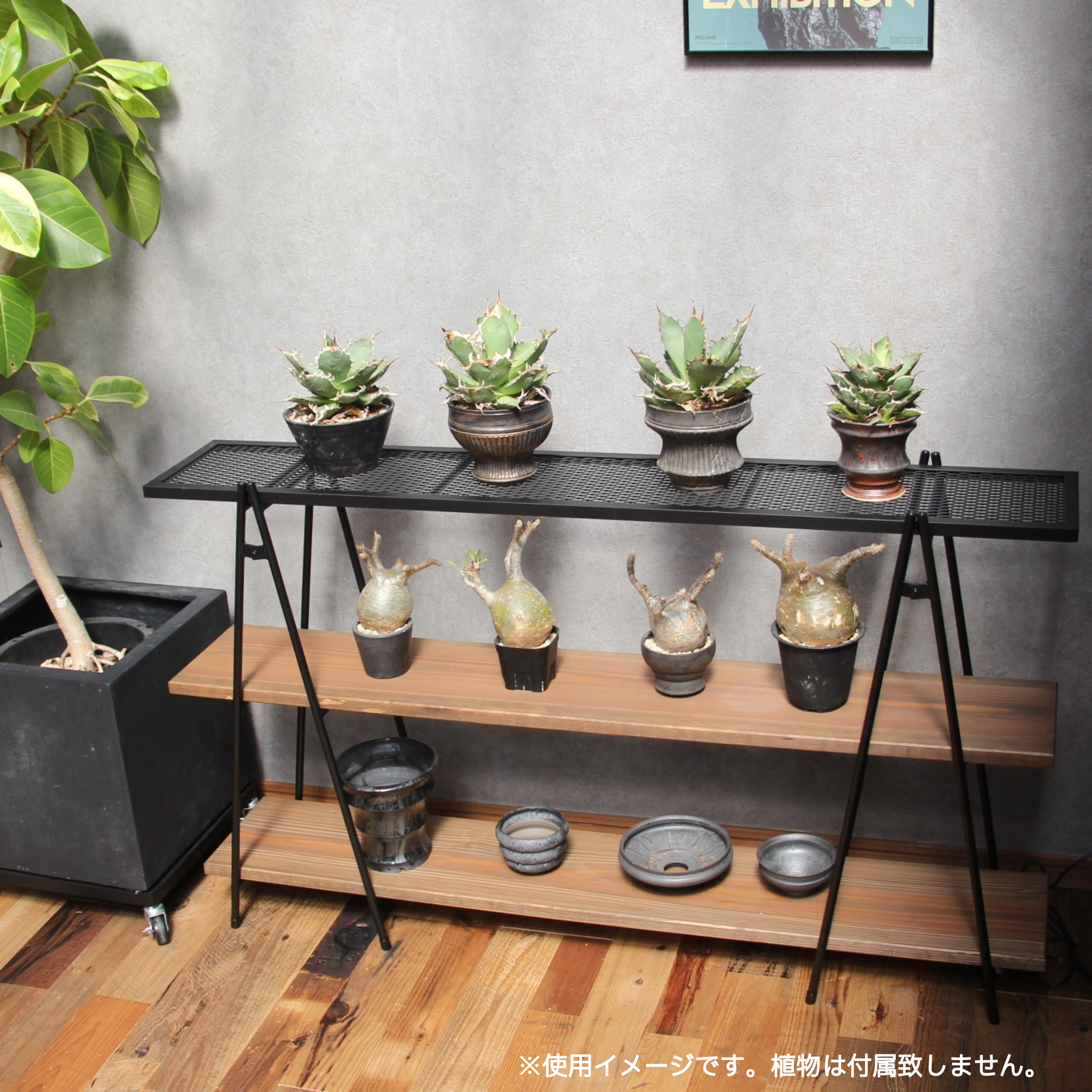 アイアンシェルフ