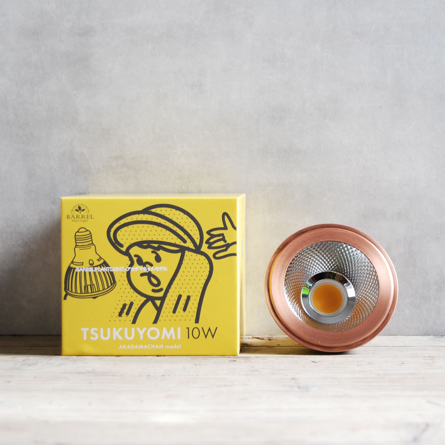 TSKUYOMI 10W ゴールド ブロンズ（ツクヨミLED 10W）AKADAMACHAN MODEL