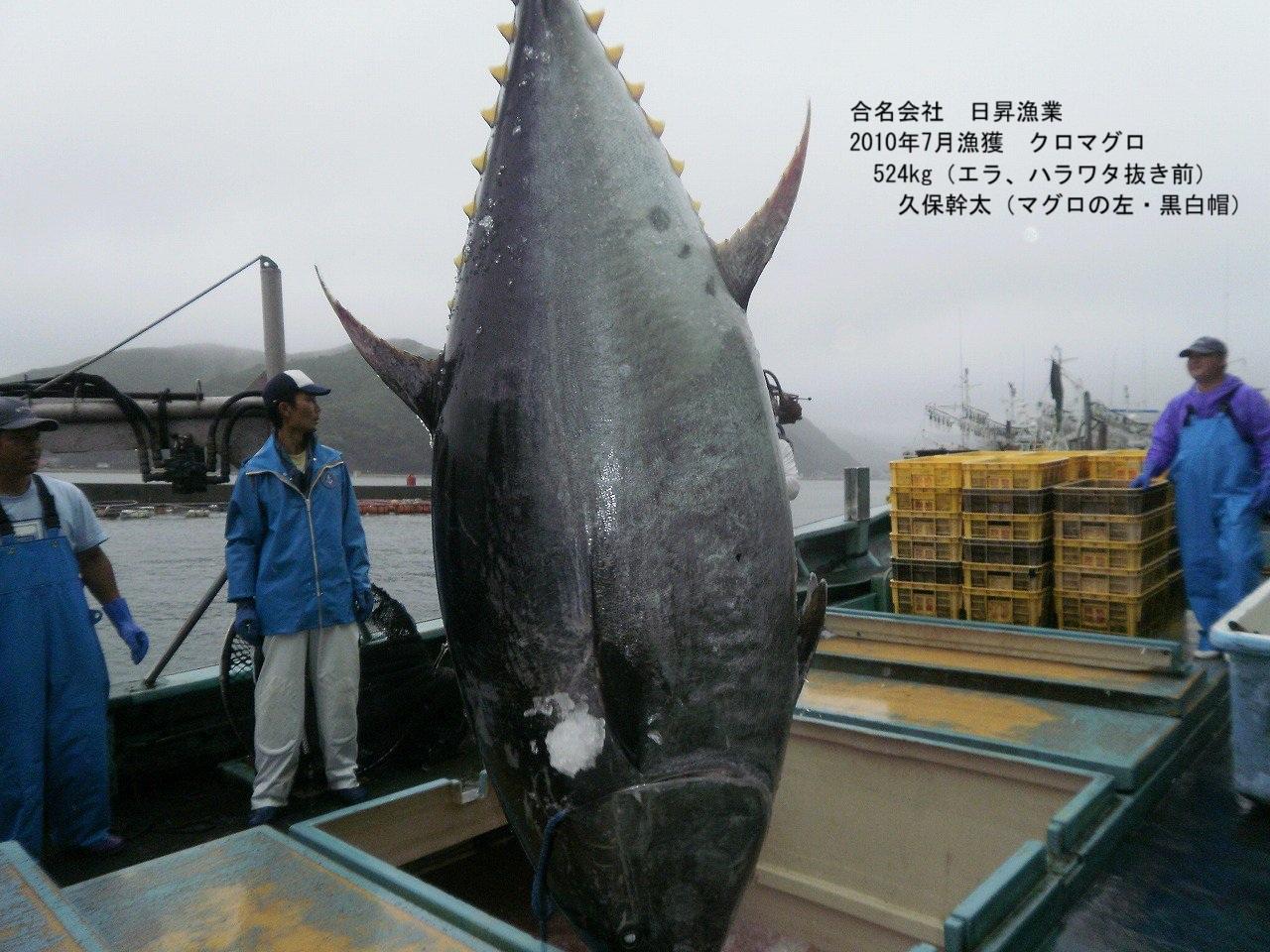 漁師名鑑002 対馬・久保幹太「波の向こうに、明日を見る人」 | 全国