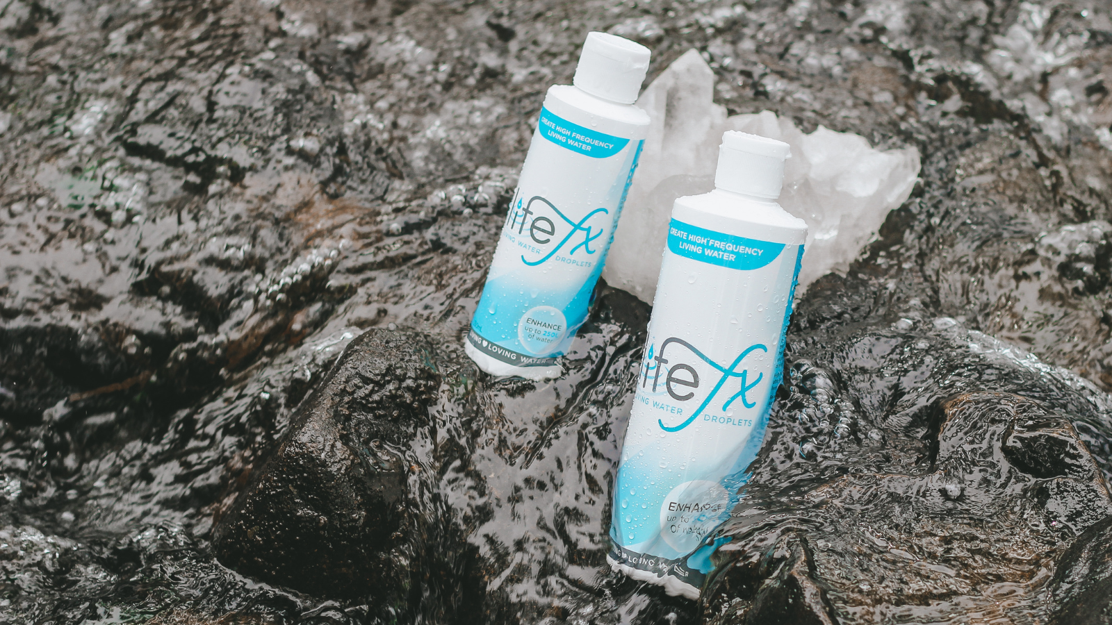 ポタポタクラブ エコウォーター Life Series 1000ml 2本 Club eco