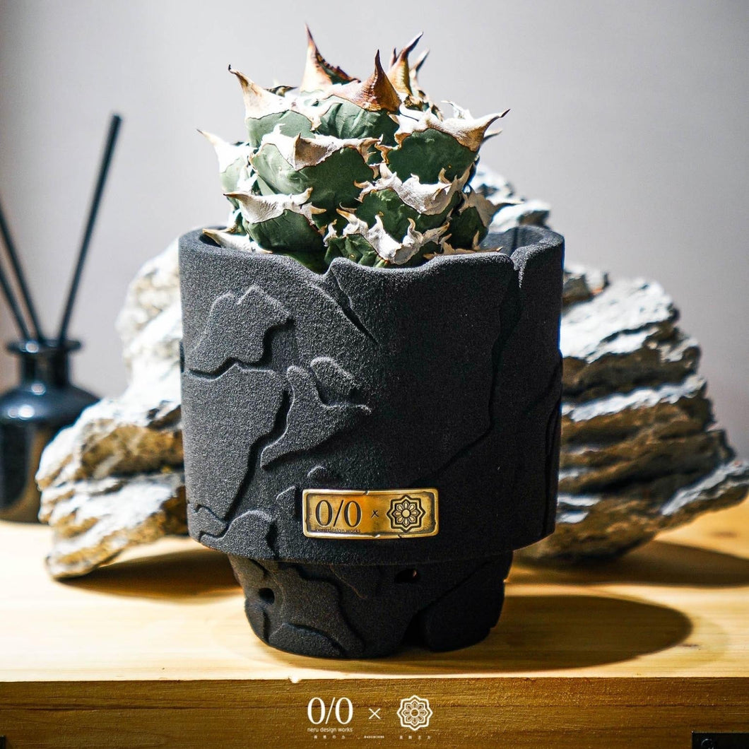 neru design works】 新品 muku no shita 小売 2点セット ネルデザイン