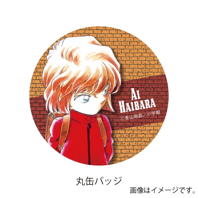 名探偵コナン 缶バッジ 読書ver. 灰原哀 名探偵コナン灰原哀読書ver