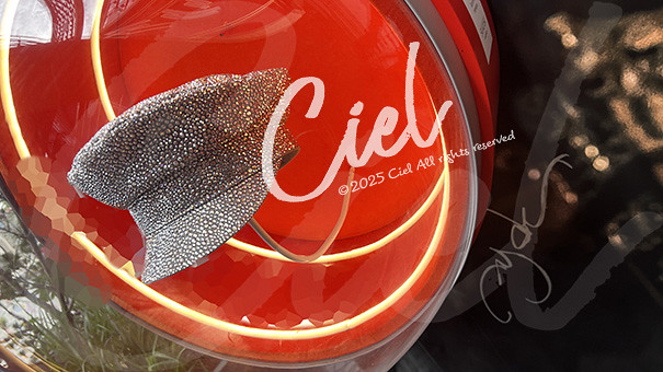 大阪万博 オーストリア HYDE Edyh ステッカー スワロフスキー 大阪万博