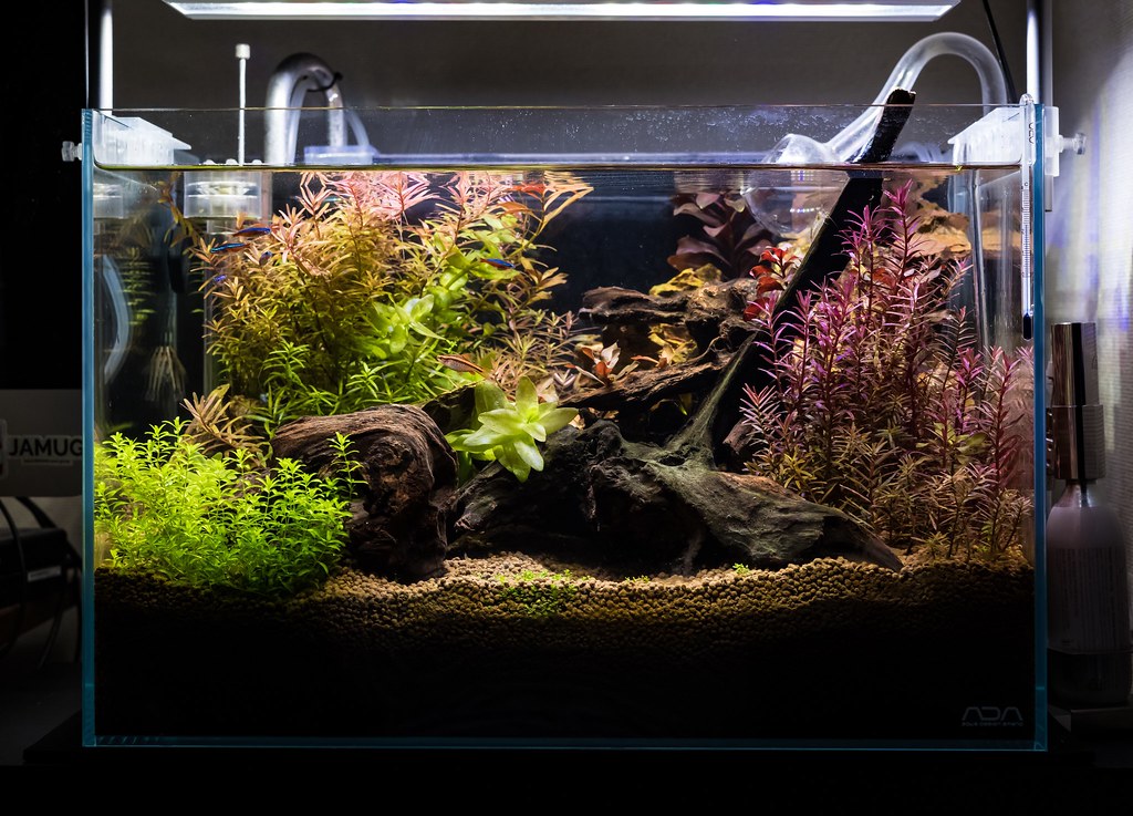 ADA水草水槽セット